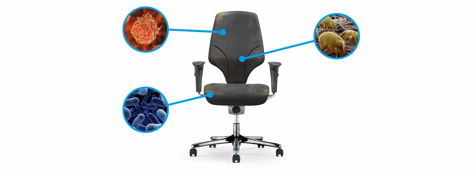 Bürostuhlreinigung